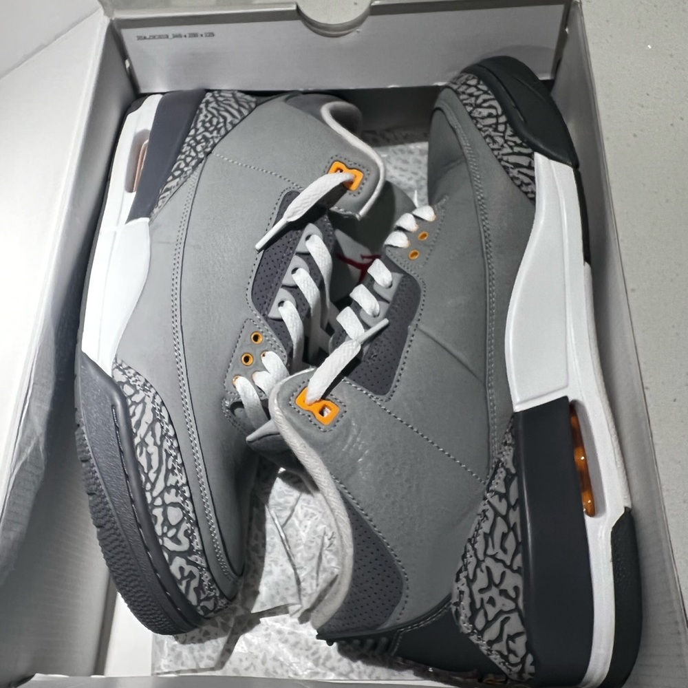 Cool Grey 3s